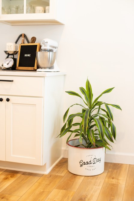 Courtney Tracey [10.11.18] 110156