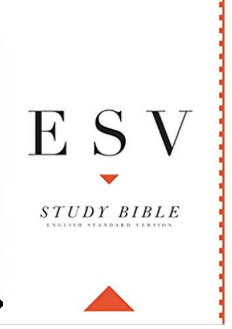 Screen Shot 2019-11-18 at 2.57.07 PM.png